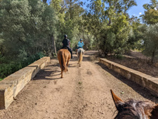 Spain-Southern Spain-Andalusian Trails